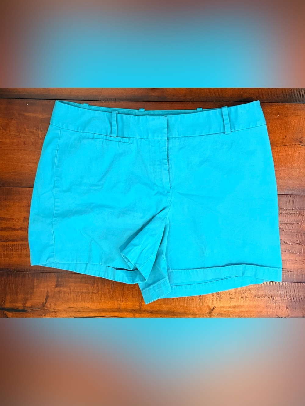 Talbots Bright Turquoise Cotton Shorts